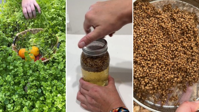 "How did it not occur to me ... that I could grow my own."