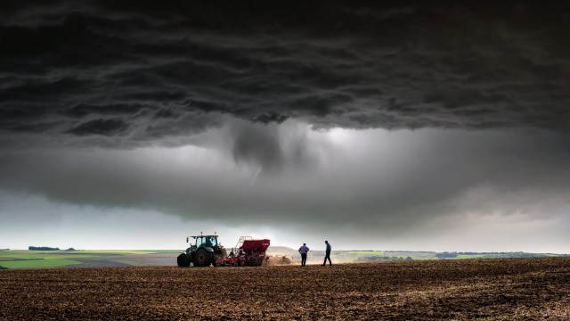 Other studies seem to back up this projection.