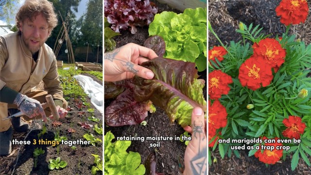 "I had a great crop last year."