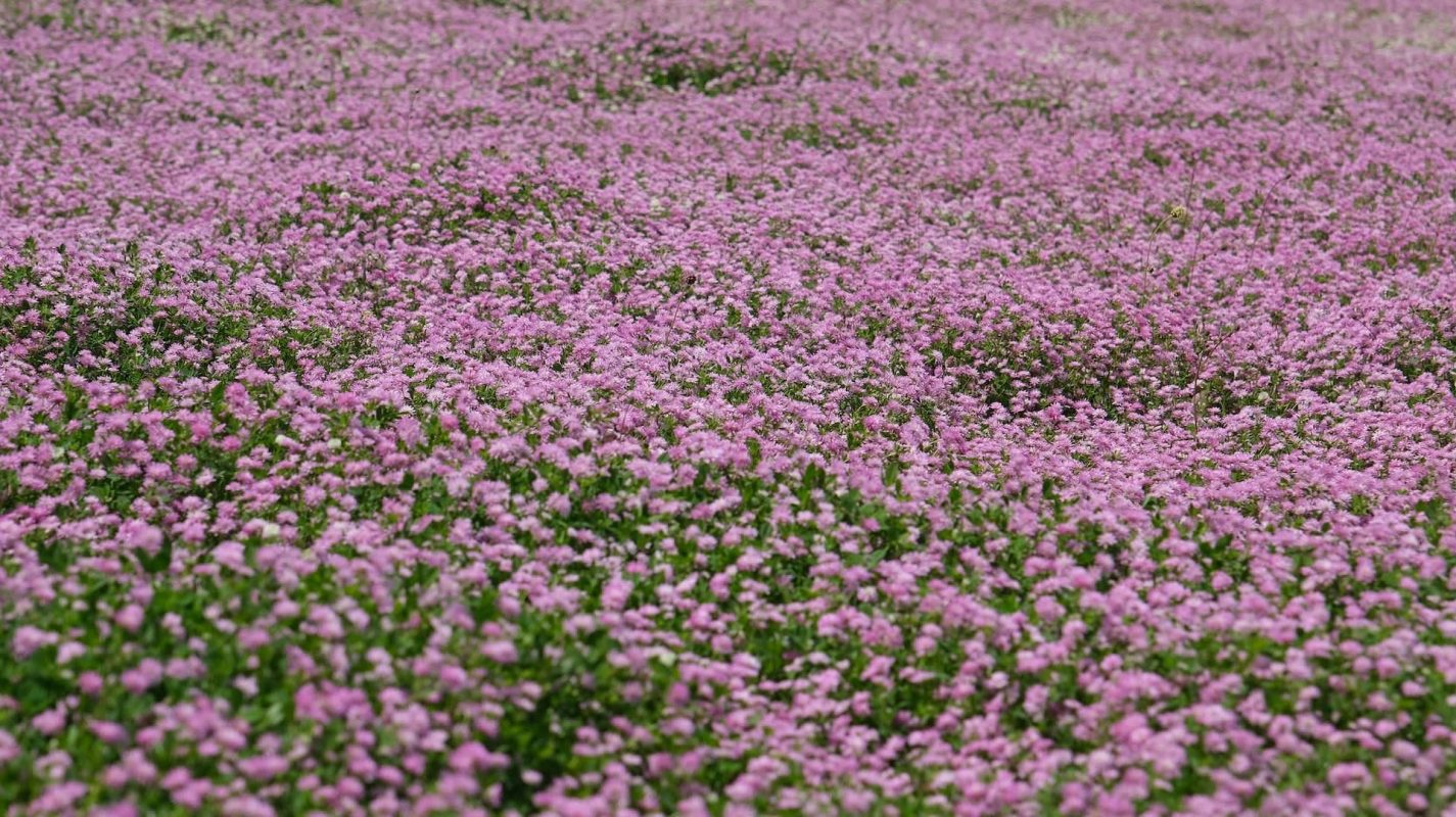 "I’m 99% sure everybody in charge of those types of things would know nothing about it!"