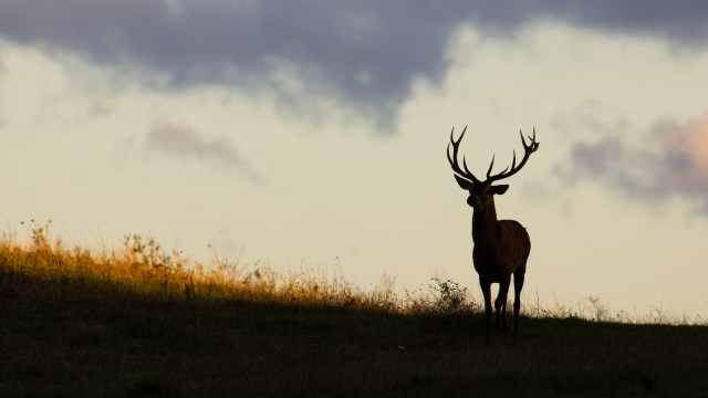 The results were alarming.