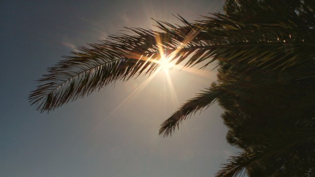 An influx of cases could ultimately strain health care systems.