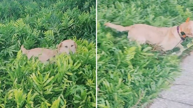 "Looks like you're having a good time."