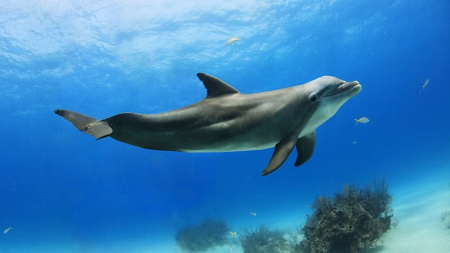 "This is not just an isolated incident."