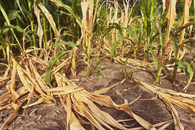 "We really need a good start."