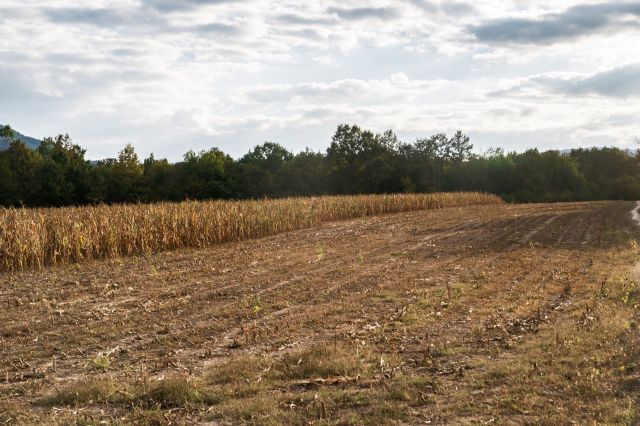 "We need to be in a hurry."