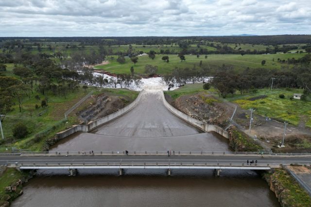 "Relocations like these can help fast-track the recovery of wild populations."