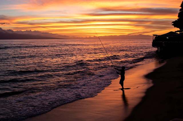 What was once considered a blessing has quickly turned into misfortune.