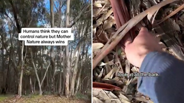 "Thanks for doing the work and sharing what you learn."