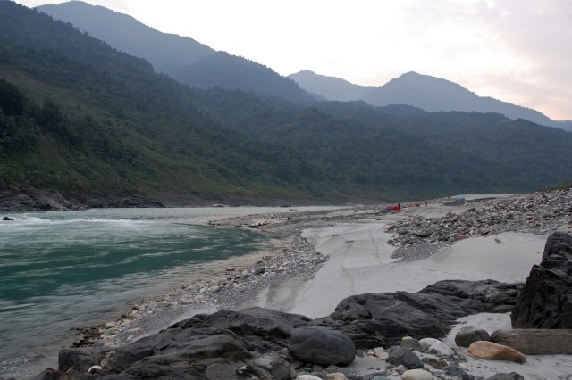 The discovery offers not only hope but also a powerful message about the resilience of life on Earth.