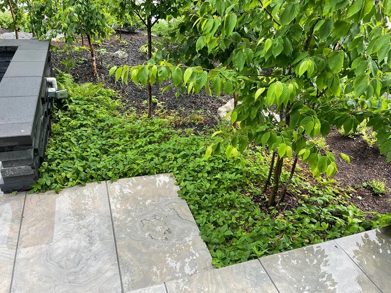 "I honestly hope we are on the verge of a societal change."