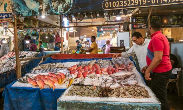 Fish farming is very important.