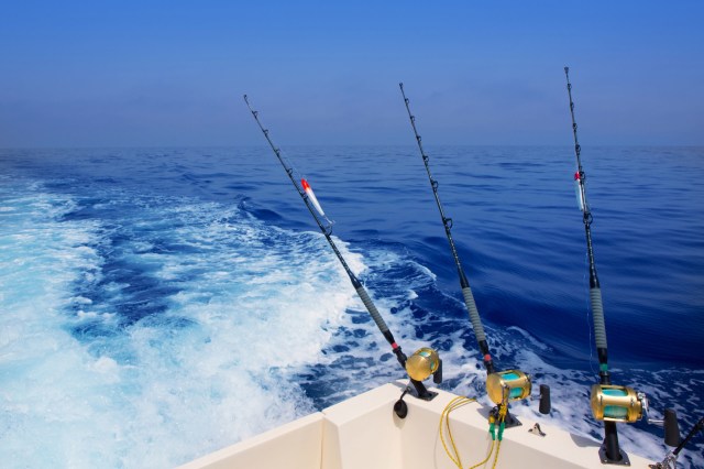 "You can't be wrong returning fish alive; that can never be wrong."