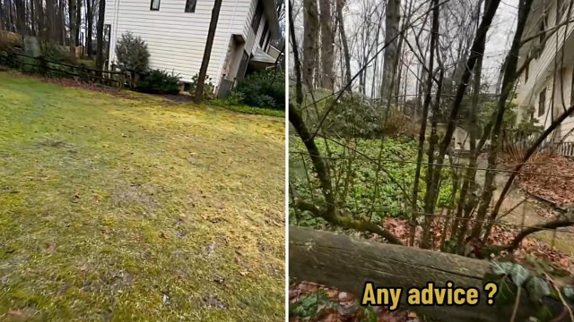 "My yard is now a swamp."