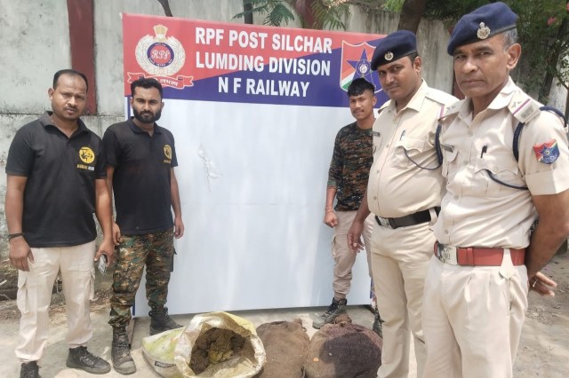 Big or small, all wildlife deserves to be saved.