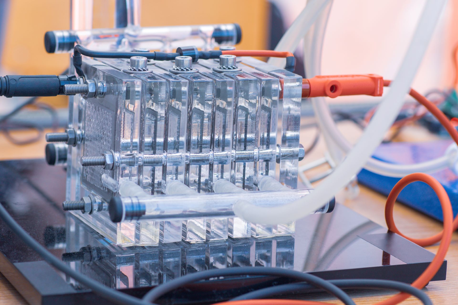 Nature's Inspiration: Leafy Plants, Lizards, and the Future of Fuel Cells