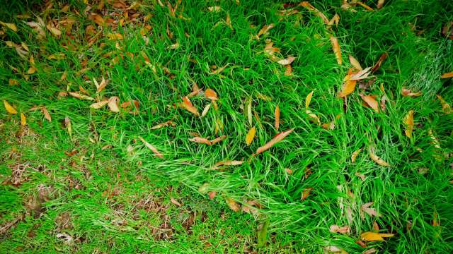 "Preparing our city to withstand global warming is perhaps the most important task we have right now."