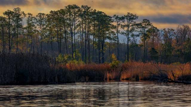 A study was conducted by an international team of scientists.