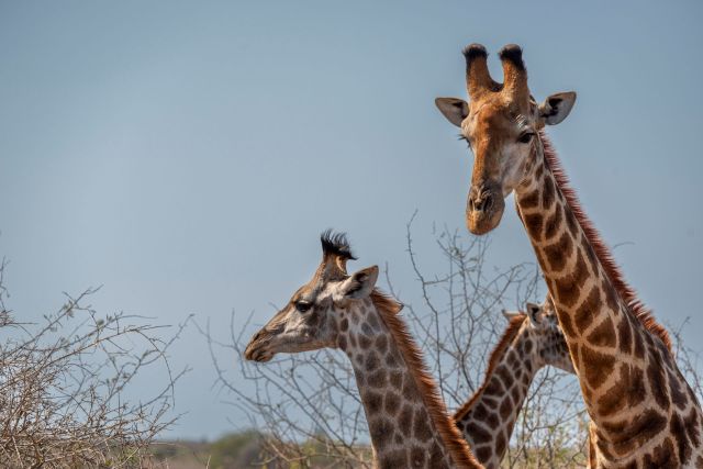 "It’s not that hard, people."