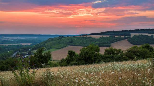 This is the first official sighting in the region.