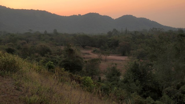 "Males are often known for their elaborate courtship displays."