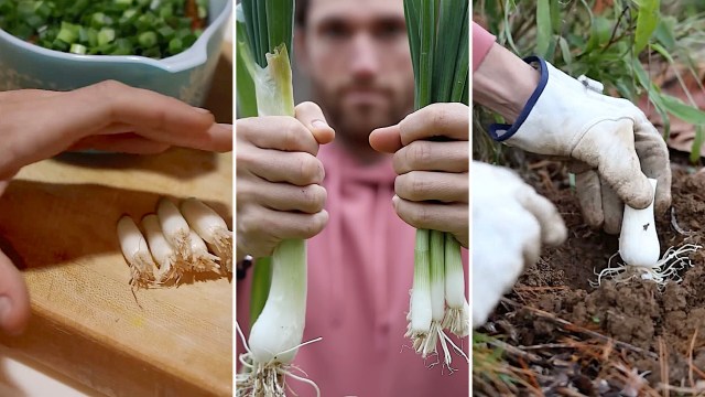 "Been doing this on my deck for a few years."