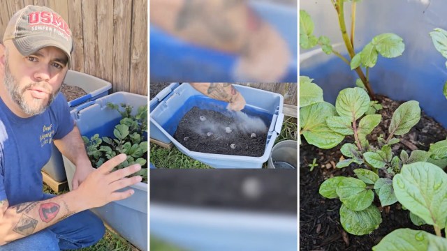 "I can't wait to do it your way."