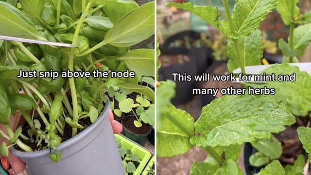 Performing this simple yet effective hack is a great way to save money.