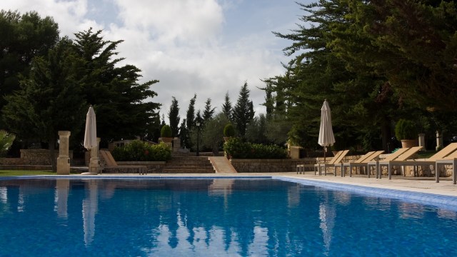 "You build hotels in animal habitats, destroying their migratory routes."