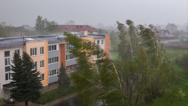 "Insurance companies are all pricing in climate risks."