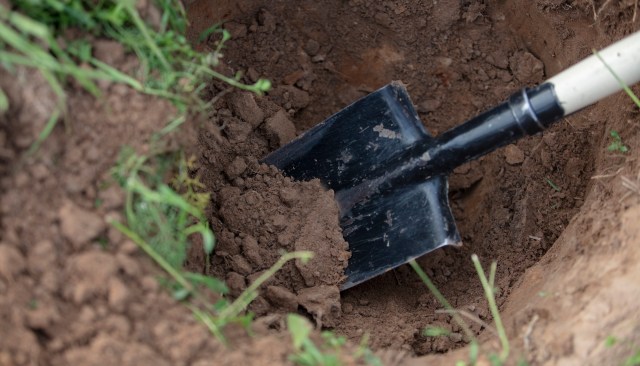 "It's so hard for us to say that a plant is extirpated or extinct."