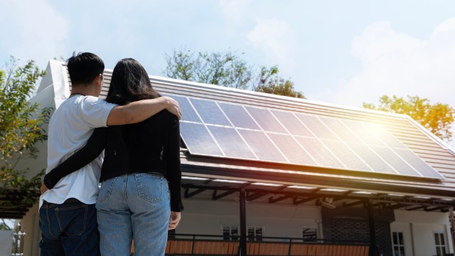 "The industry is heavily impacted by global trade, tariffs, and incentives from the government."