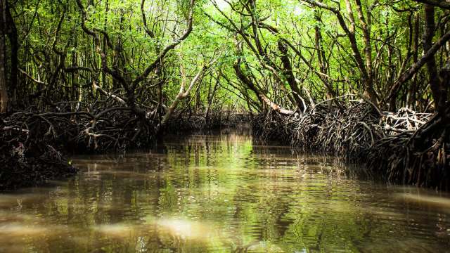 The region is known as a restricted development zone.