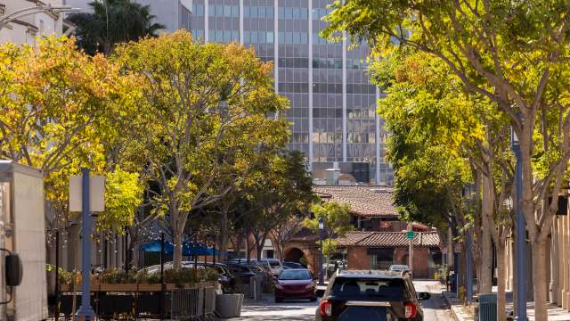 "What took years to grow only took minutes to destroy."