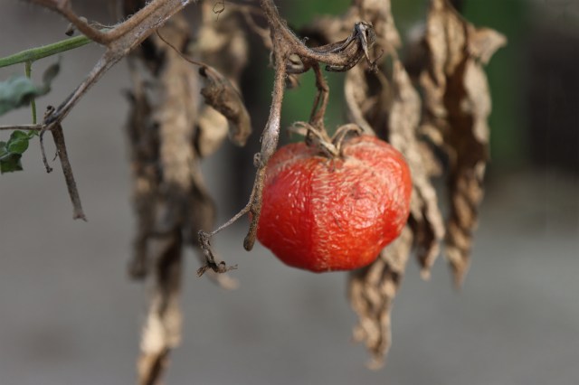 "The market is aware of ... risks and is gradually getting better at assessing them."