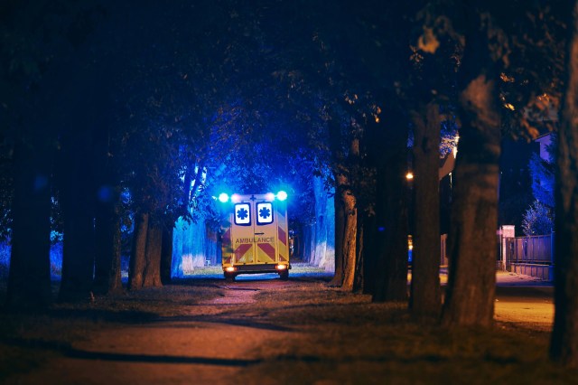 "I wasn't looking for the bobcat, the bobcat found me."