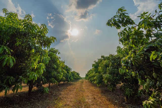 "You don’t know what will happen."