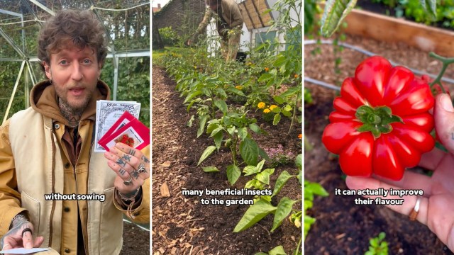 "Planning and almost ready to plant!"