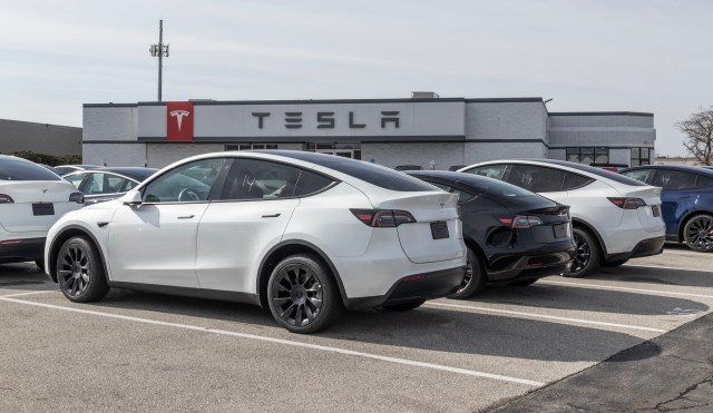 The sales drop followed reports of increased Model Y production at Tesla's Shanghai factory.