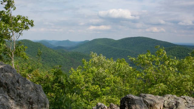 "I believe that all ... should have the opportunity to experience the natural beauty."