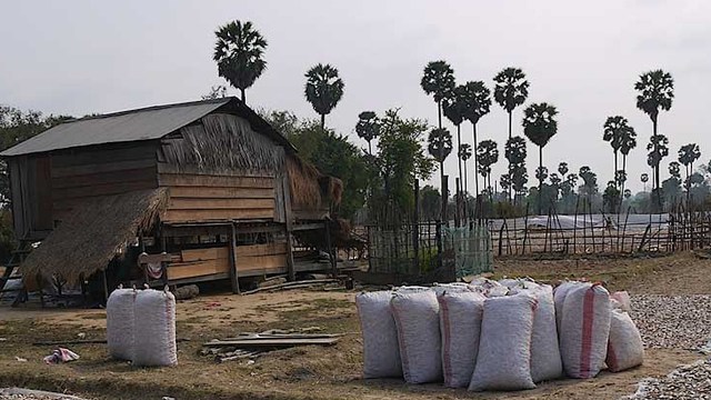 The forest is an important part of local culture and spiritual life.