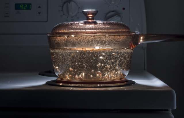 "I have no complaints about the portable ones, I've cooked everything on them I would cook on a regular cooktop."