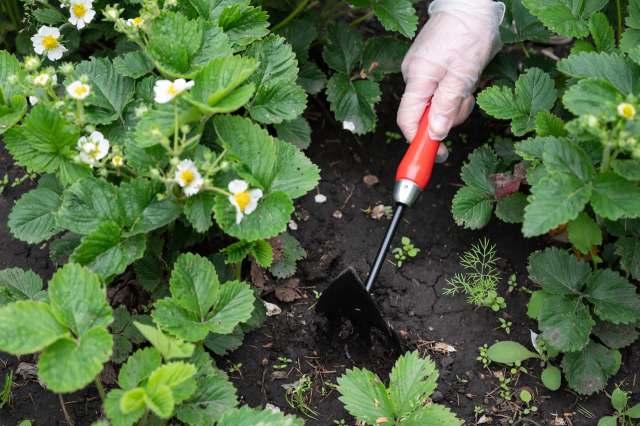 "I feel so trapped."