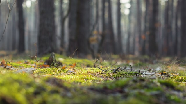 "A remarkable step forward."