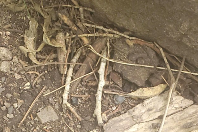 "The amount of litter I see while hiking is so depressing."
