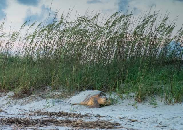 The threat doesn’t stop at the shoreline.
