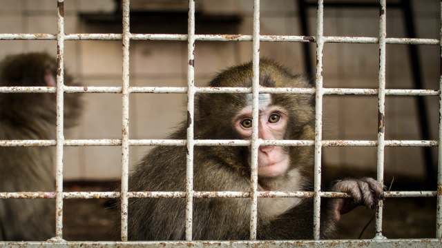 Advocates called for law enforcement to intervene.