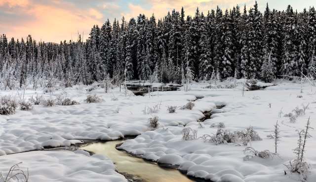 This ancient cycle may now face disruption due to our changing environment.