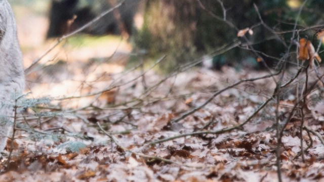 "Of course, we said yes straight away; that's something that we'd love to do."