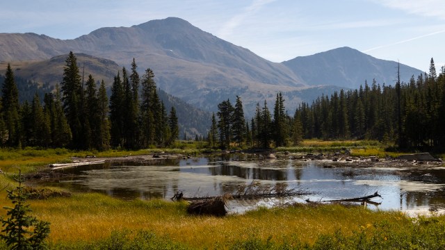 "Our findings show there is a risk."